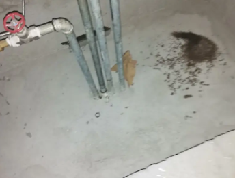 汕头卫生间测漏水价格明细