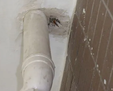 汕头漏水检测哪家好